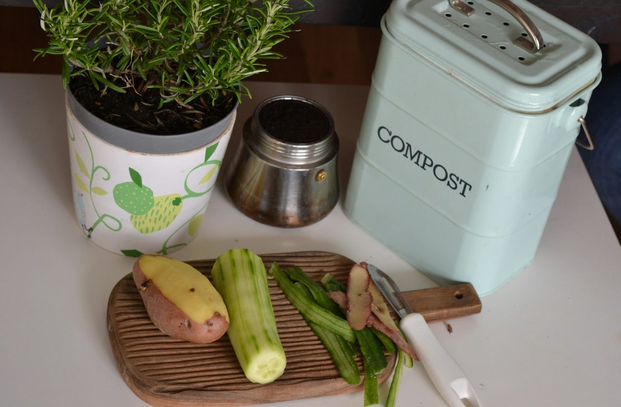 green plant on white and purple floral ceramic pot